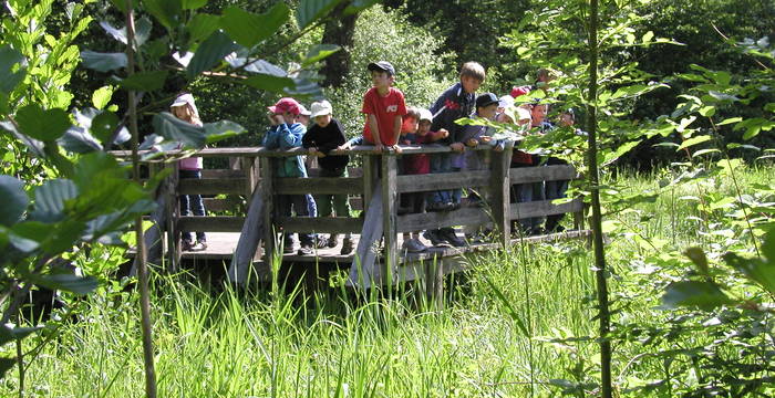 Lernen in der Natur