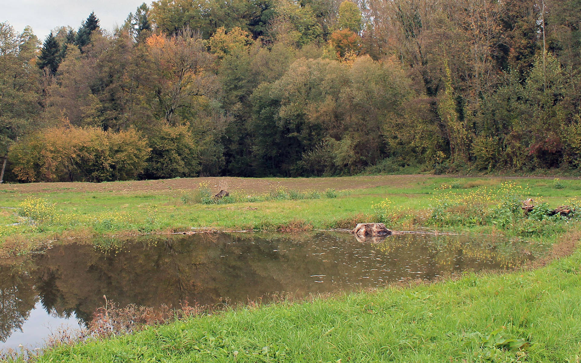 Naturschutz Mit Der Grossen Kelle | Pro Natura Bern