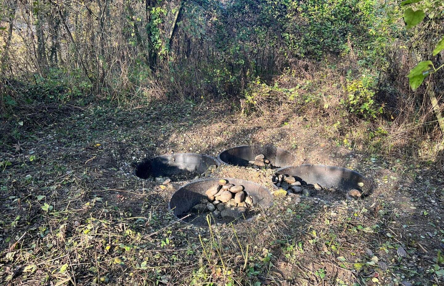 Tümpel Gelbbauchunken Panzersperre Marfeldigen